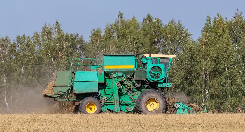Nie tylko dla rolników. XXX Giełda Rolnicza w Łącku