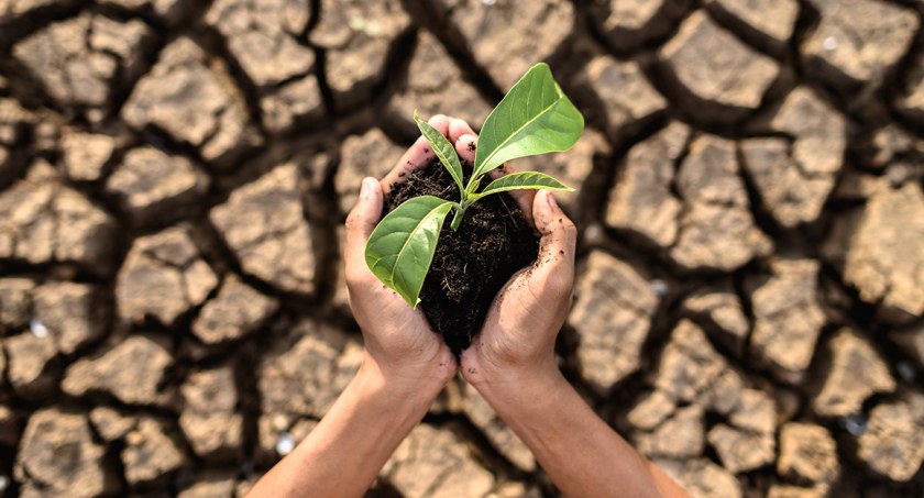 8 projektów w subregionie płockim. Samorząd Mazowsza wspiera działania przeciwko zmianom klimatycznym