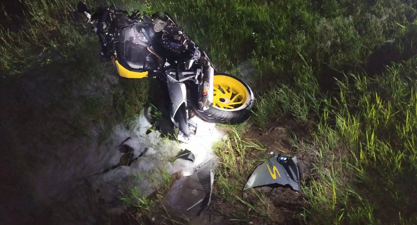 Łoś wyszedł na drogę. Motocyklista nie miał szans