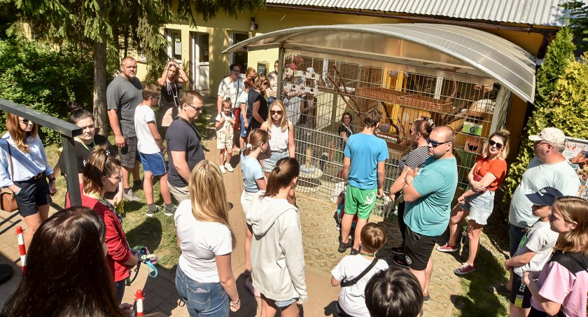 Czekają na dom. Dzień Otwarty w płockim Schronisku dla Zwierząt