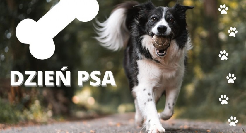 1 lipca obchodzimy Dzień Psa! Galeria Wisła przygotowała niespodziankę!