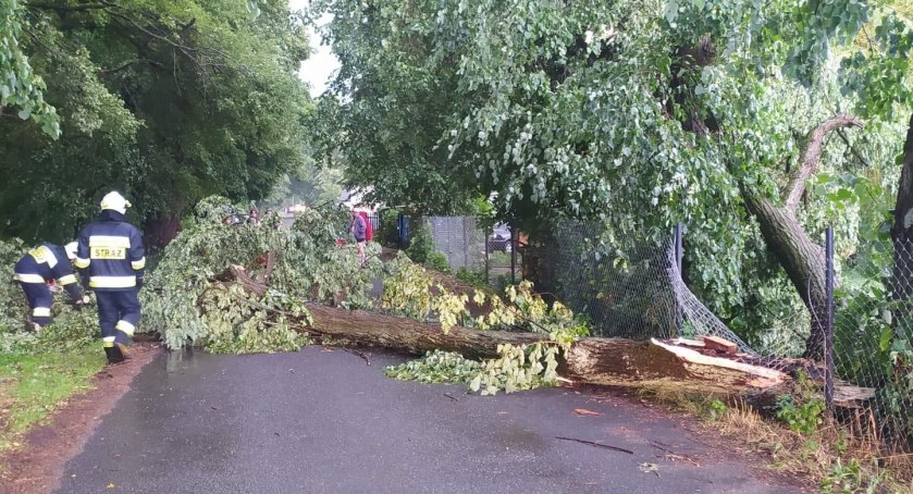 Usuwali wiatrłomy i zawalidrogi. Strażacy w akcji po wczorajszej ulewie  [FOTO]