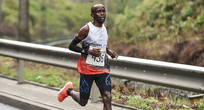 11. Półmaraton Dwóch Mostów. Kilkuset biegaczy na trasie [FOTO]
