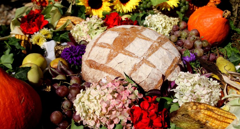 W tę niedzielę odbędą się Dożynki Powiatu Płockiego
