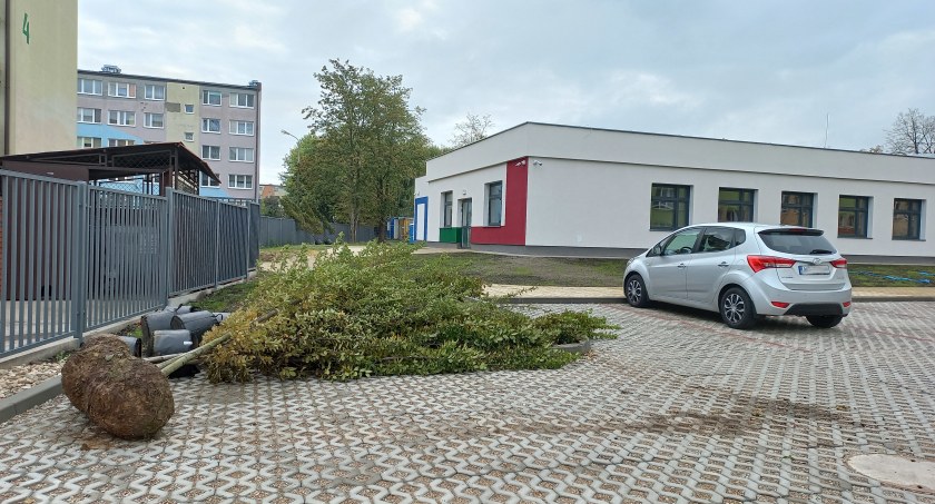 Nowe drzewa przy ul. Kossobudzkiego 