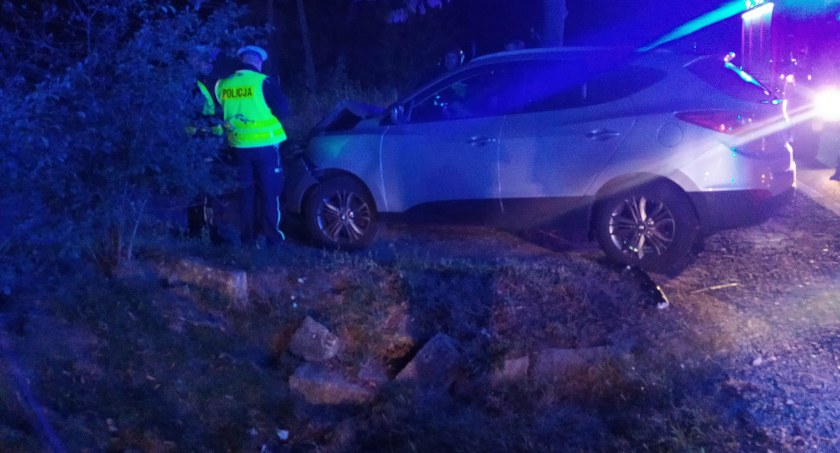 Łoś uciekł z miejsca zdarzenia. Kierującej samochodem na szczęście nic się nie stało