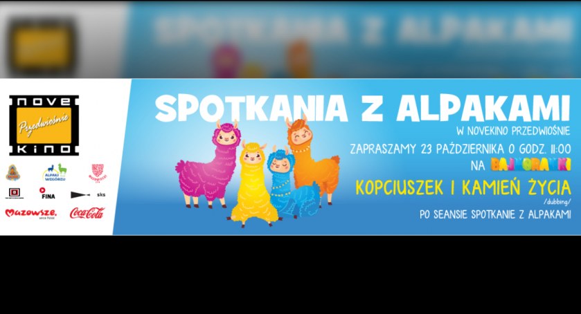 Bajkoranki z alpakami 