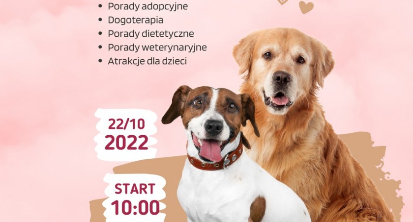 Czas na Dzień Psijaciela w Galerii Mazovia! Już jutro! 