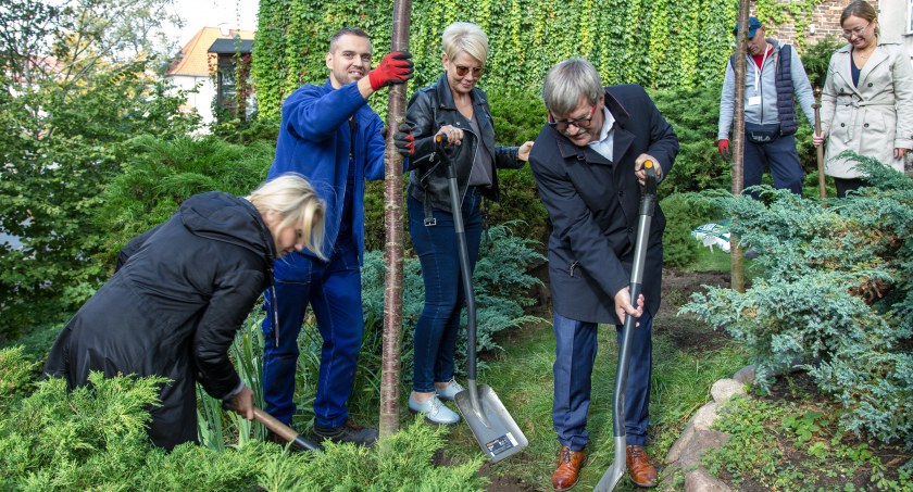 Płock miastem pełnym zieleni. Jeszcze więcej drzew, krzewów i bylin