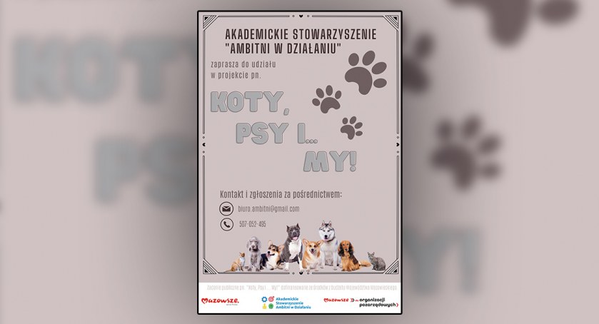 Koty, Psy i ... My! Pomagamy czworonożnym przyjaciołom