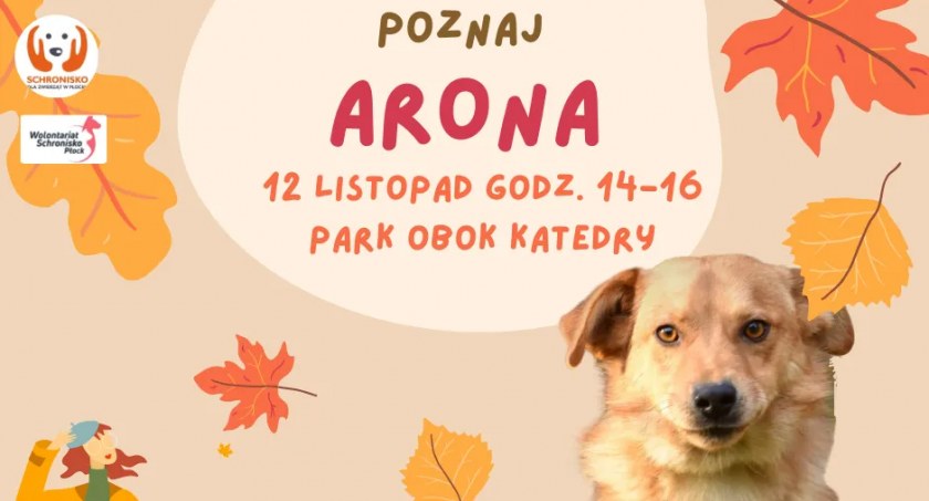 Idziemy na spacer? Dziś o godz. 14.00 czekają Aron, Diego, Borys i...  