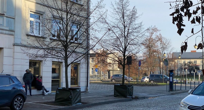 Jak ochronić drzewa przed solą drogową?