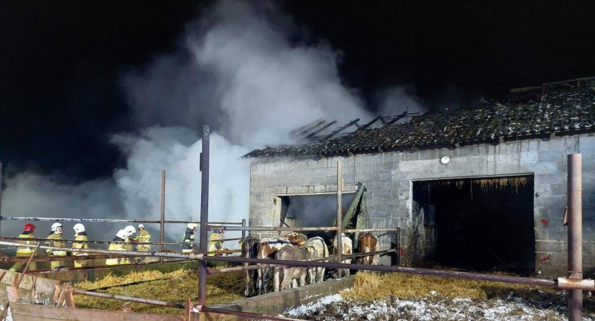 Pożar w Rogienicach. 7 wozów strażackich w akcji 