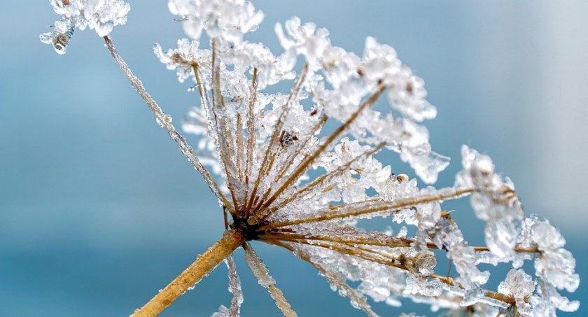 Zima nie chce odejść. Meteorolodzy ostrzegają
