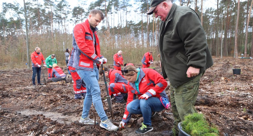 Wolontariusze PKN ORLEN sadzą las. Przybędzie 14 tysięcy sosen  [ZDJĘCIA, FILM]