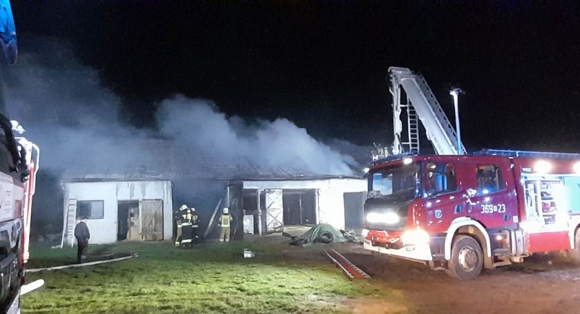 Groźny pożar w Dziarnowie. 10 wozów strażackich w akcji [FOTO]