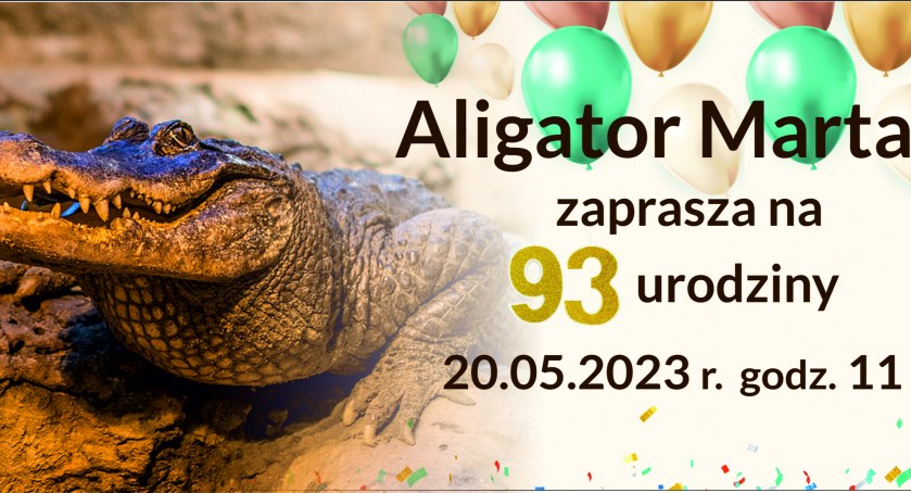 Marta zaprasza wszystkich w sobotę do ZOO! Będzie urodzinowy tort. Nie zabraknie też atrakcji! 