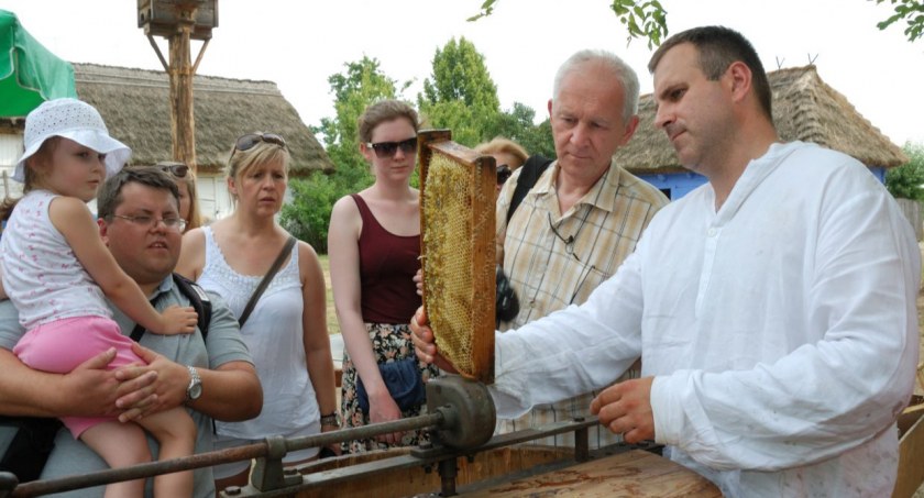 Wielkie miodobranie w skansenie. Czas na słodkie smakołyki 