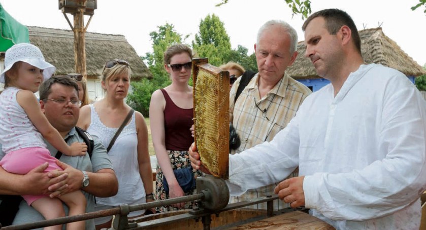 Czas na słodkie smakołyki. Wielkie miodobranie w skansenie