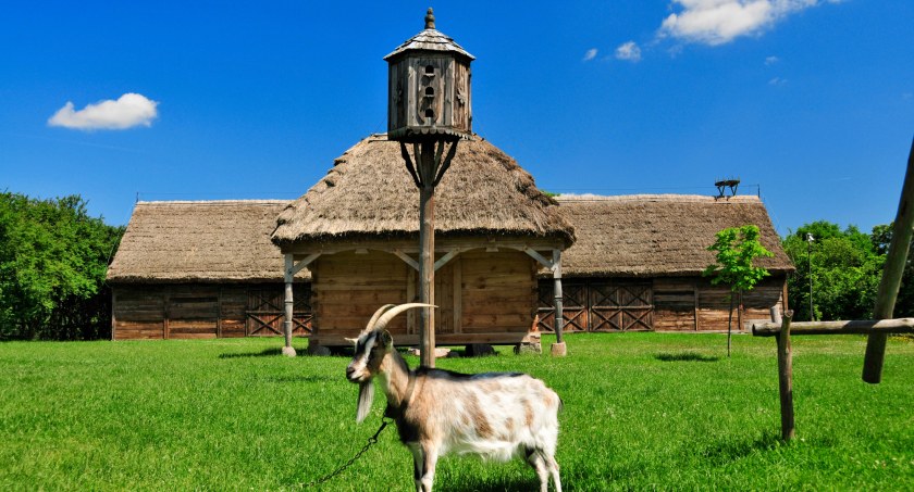 Historia i tradycje regionu w jeden weekend. Dwa muzea niedaleko Płocka, które warto odwiedzić