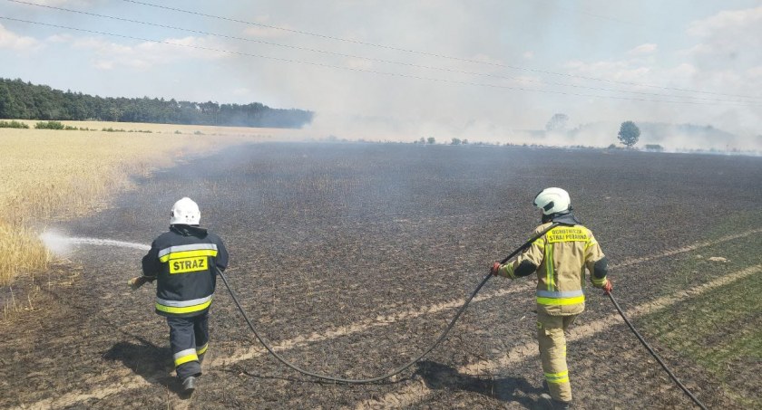 Potężny pożar zboża w Sannikach. W akcji 16 zastępów straży