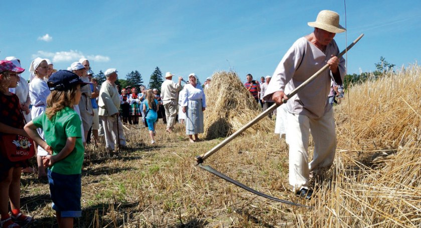 Żniwa i MAZOpiknik. Wakacje w skansenie w Sierpcu