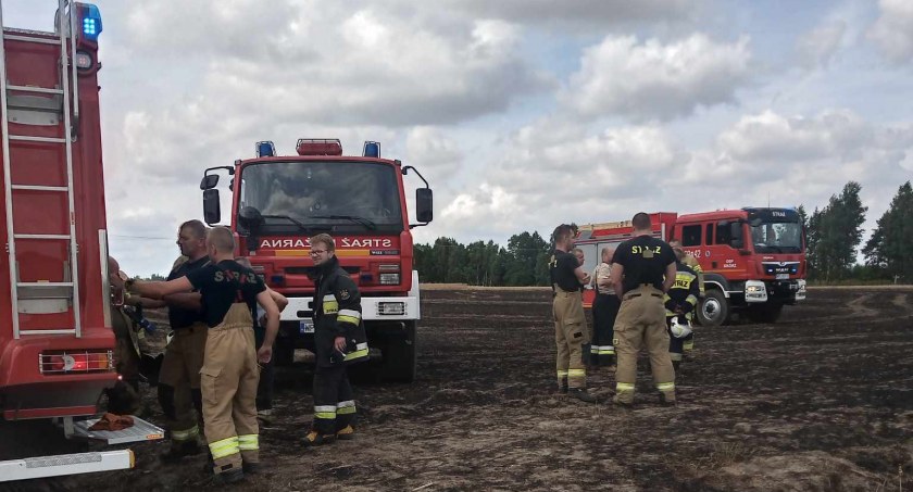 Spłonął 1 hektar zboża na pniu. Wezwano 6 wozów strażackich 