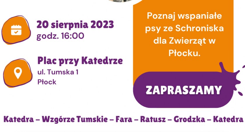 Może któryś psiak skradnie wasze serce... Niedzielny, wyjątkowy spacer 
