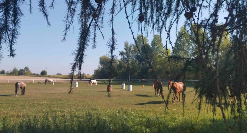 Klasa o profilu jazdy konnej w szkole podstawowej. Innowacyjna edukacja w gminie Słupno