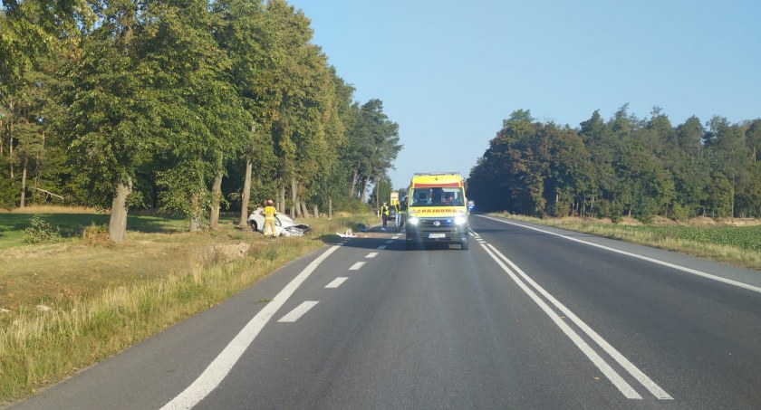 Uważajcie na krajowej „10”. W Dłużniewie auto uderzyło w drzewo
