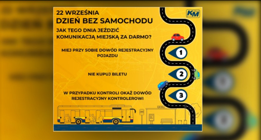 Darmowa komunikacja publiczna dla płocczan. Sprawdź szczegóły