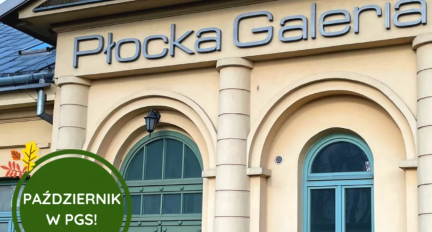 Maskotki i moodboardy w Płockiej Galerii Sztuki 