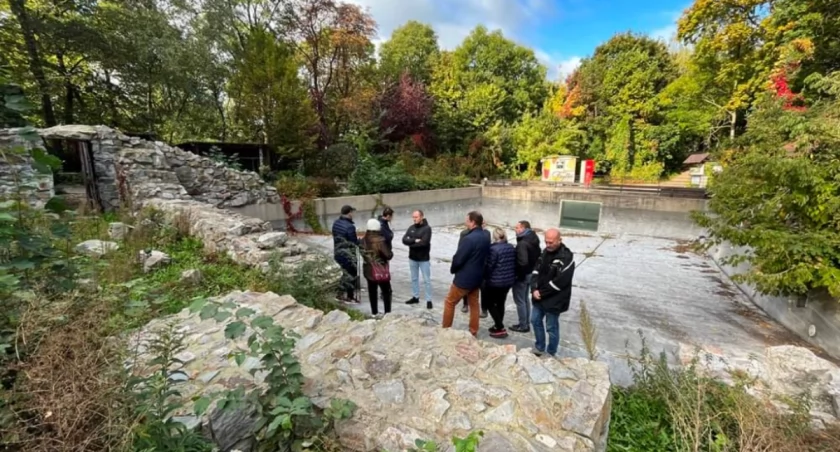 Trwają przygotowania do przywitania pingwinów w płockim ZOO. Nowi mieszkańcy już wiosną