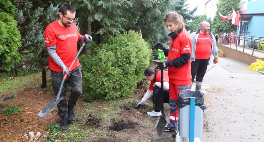 Szpaler róż, hortensje i borówki. Piękny ogród dla płockich przedszkolaków od wolontariuszy ORLENU
