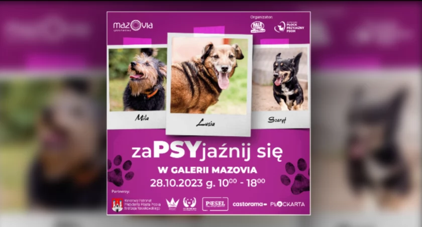zaPSYjaźnij się w Galerii Mazovia. Dzień Kundelka już w najbliższą sobotę