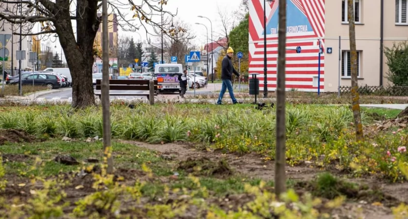 W centrum Płocka powstaje park kieszonkowy. Jeden z dziesięciu