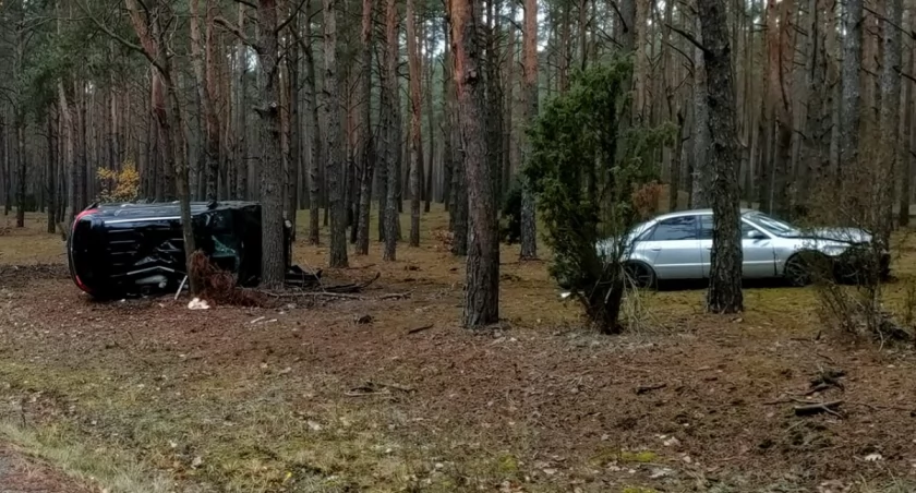 Groźny wypadek w Białobrzegach. Samochody zatrzymały drzewa [ZDJĘCIA]