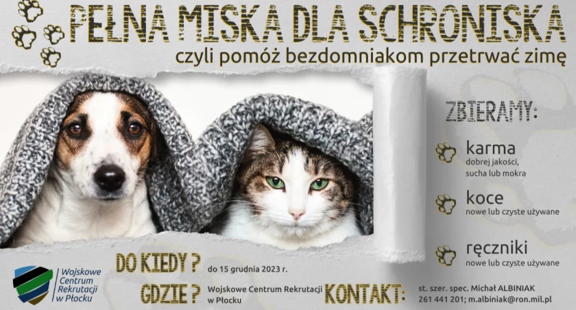 Pomóżmy w zbiórce darów dla bezdomnych zwierząt!