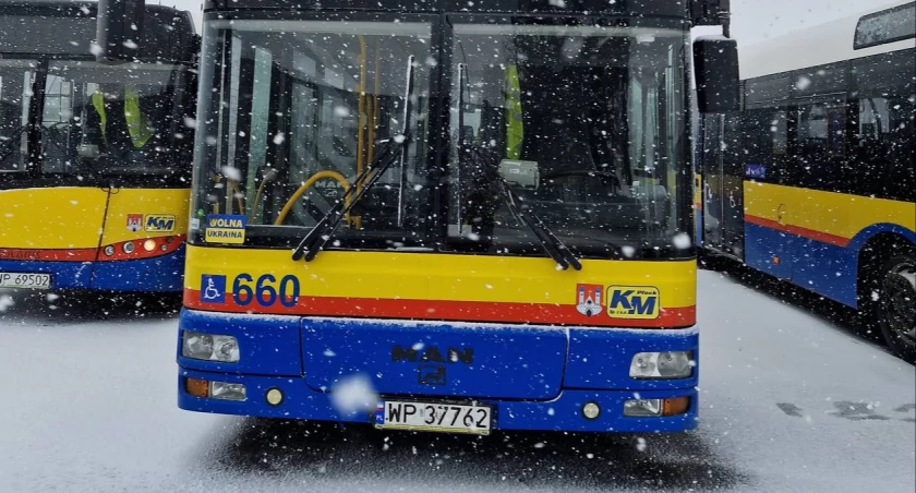 Jak płockie autobusy będą kursować w Boże Narodzenie i w Nowy Rok?