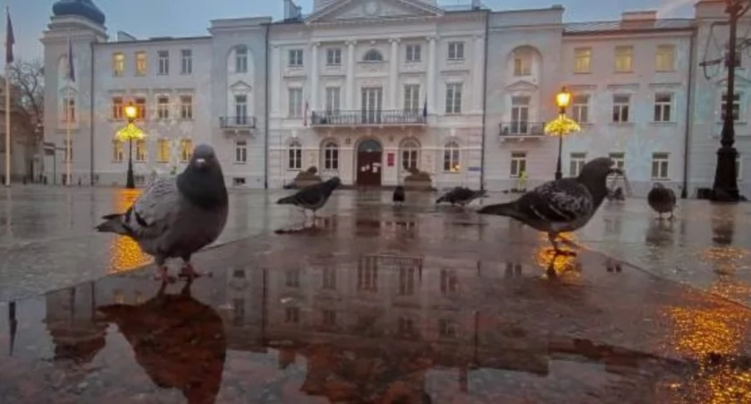 Urząd Miasta Płocka będzie zamknięty. Sprawdź kiedy