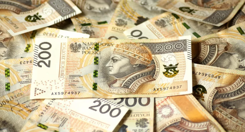 Urząd Miasta Płocka ma do rozdzielenia 130 tys. złotych. Do kiedy wnioski?