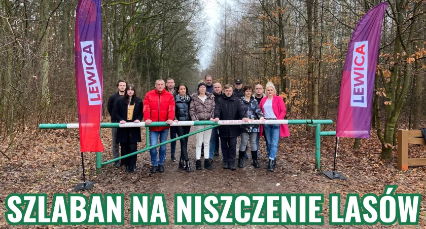 Chcesz włączyć się w ochronę lasów wokół Płocka? Koniecznie usiądź przy Okrągłym Stole Leśnym
