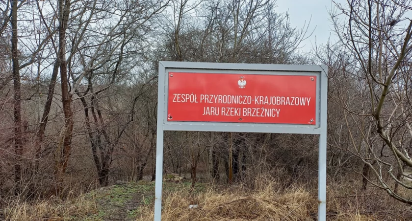 Jar Brzeźnicy w Płocku. 50 ha naturalnego parku