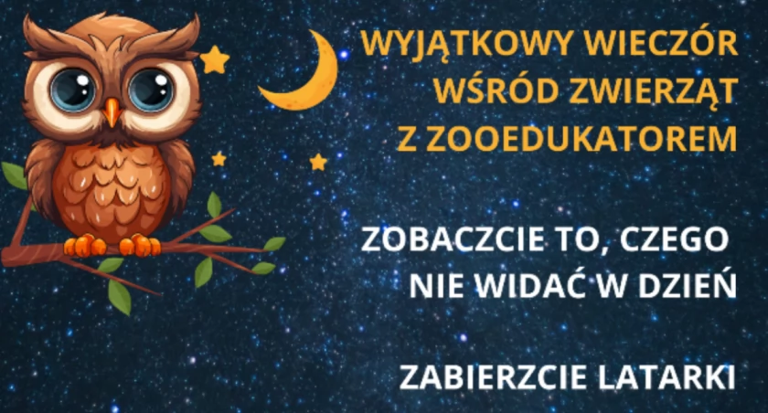 Czy wiesz, jak śpi słoń? Przekonaj się osobiście 19 kwietnia w ZOO! 