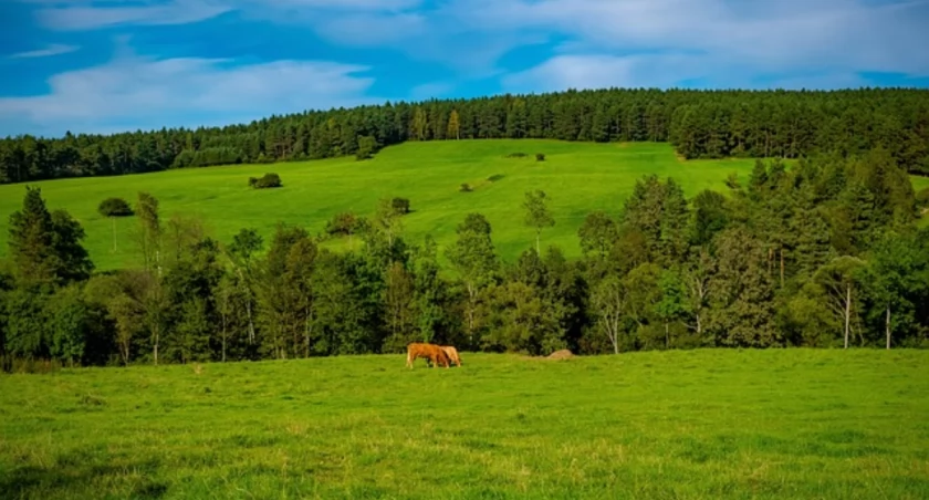 Planujecie romantyczny weekend dla dwojga? Sprawdźcie ofertę VISLOW