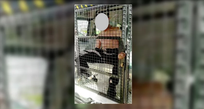 31-latek zaczepiał przechodniów na ul. Tysiąclecia. Zareagowali strażnicy miejscy