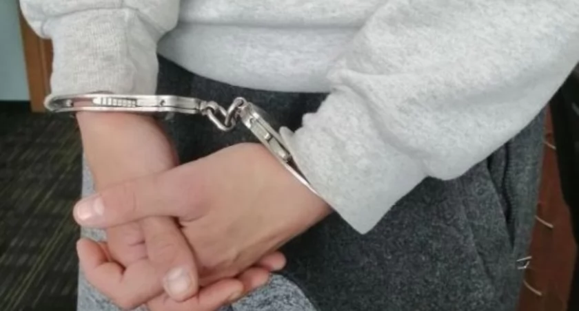 Złodzieje z Gostynina zatrzymani przez policję. Nie minęła nawet doba   