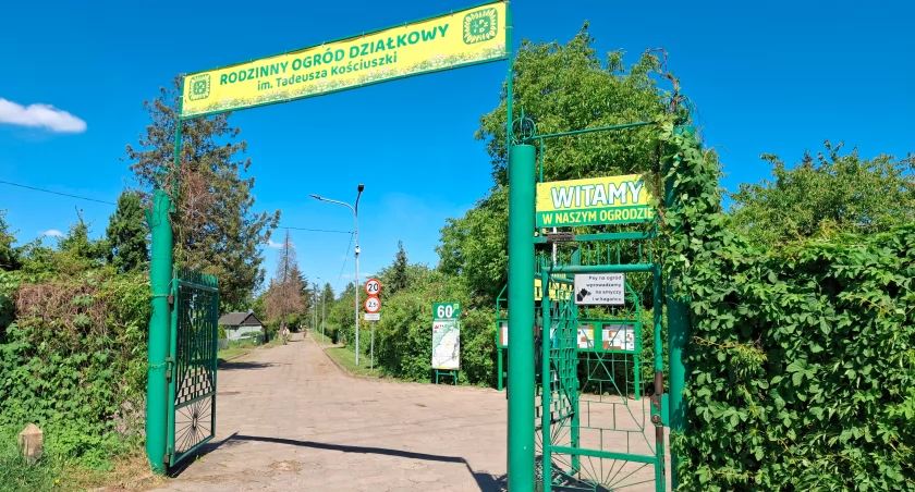 Dotacje dla płockich ogrodów działkowych. Coraz mniej czasu na złożenie wniosków