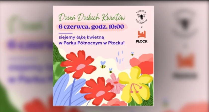 Dzień Dzikich Kwiatów w Płocku. Zaproszenie do Parku Północnego