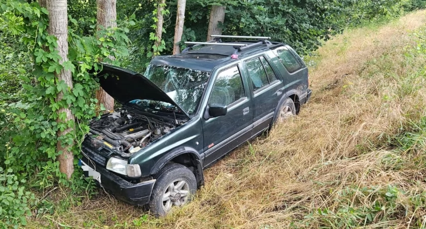 Wypadek w Biskupicach. Samochód uderzył w drzewo [ZDJĘCIA]